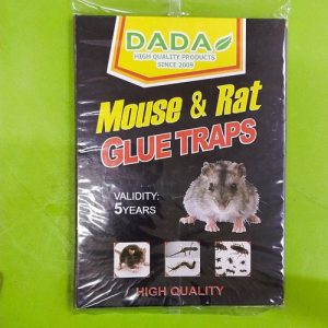 DADA RAT BOOK
