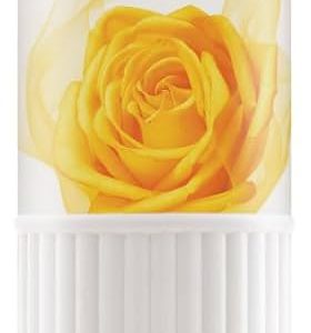 ENCHANTEUR CHARMING TALC POWDER 250GM
