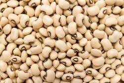 JKS WHITE LOBIA 500GM