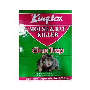KING RAT GLUE TRAP