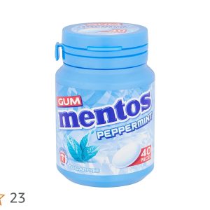 MENTOS GUM PEPPERMINT 40 PIECES