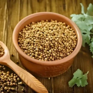 UMAR FOOD DHANIA WHOLE 100GM