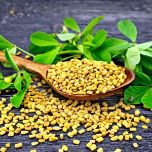UMAR FOOD METHRE 100GM