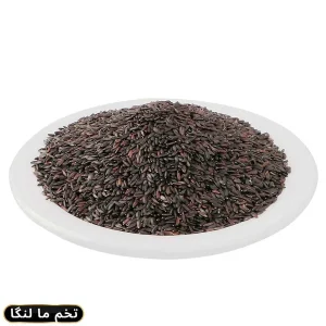 UMAR FOOD TUKH MALANGA 100GM