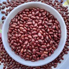 JKS RED LOBIA 500GM